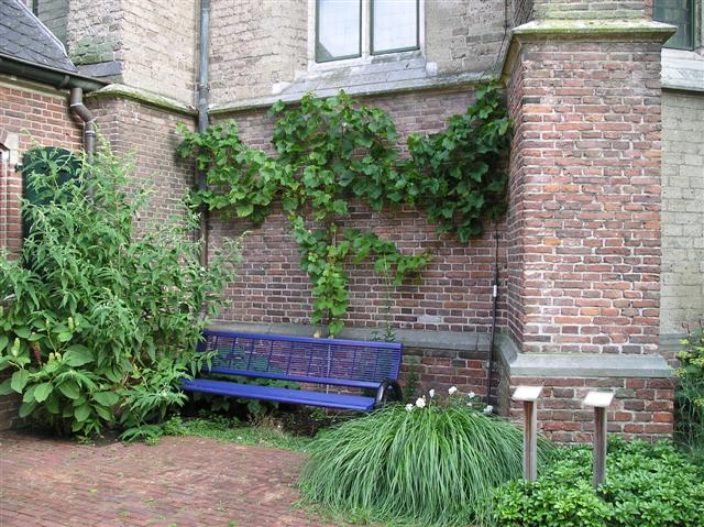 Groene tijd